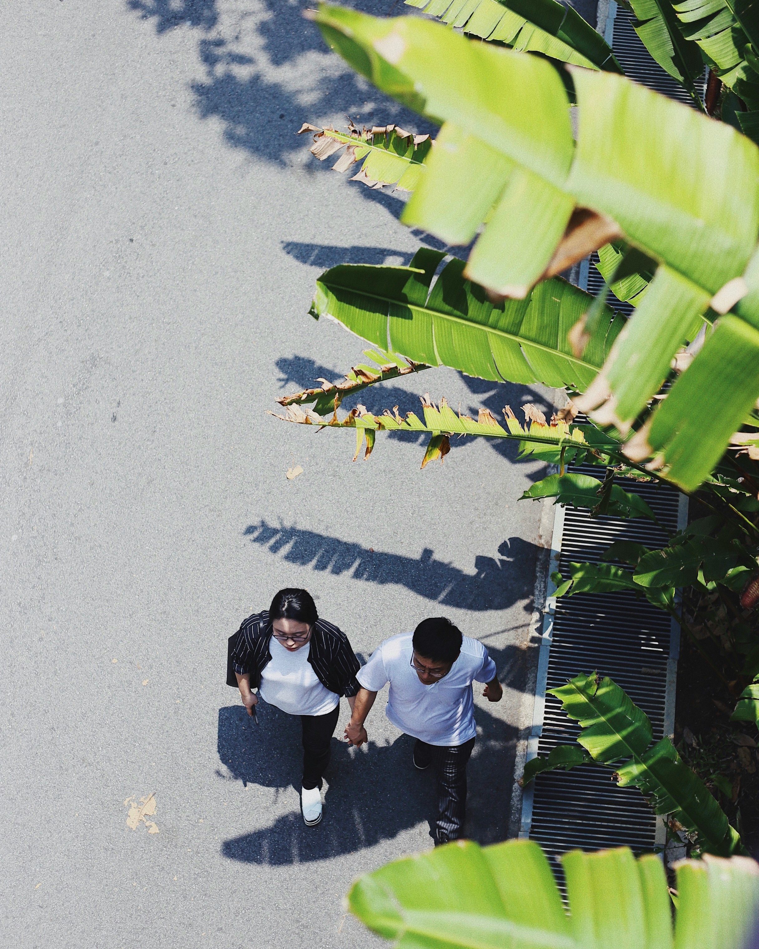 man and woman holding hands walking near tree